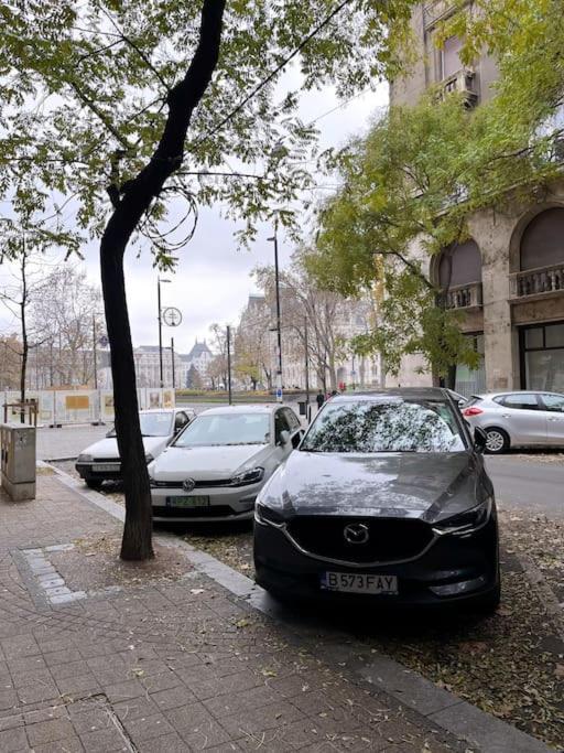 12# Sunflower Cozy Apartment Budapest Eksteriør bilde